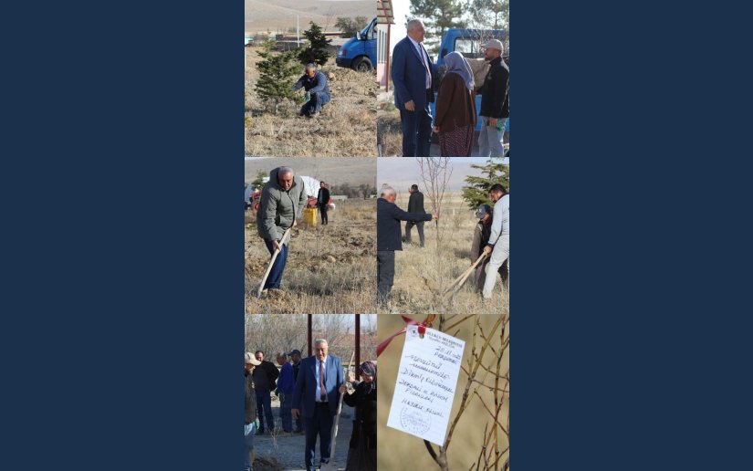 MEVLÜTLÜ VE PAZARKAYA’DA ZERDALİ VE BADEM FİDANLARI TOPRAKLA BULUŞTU.