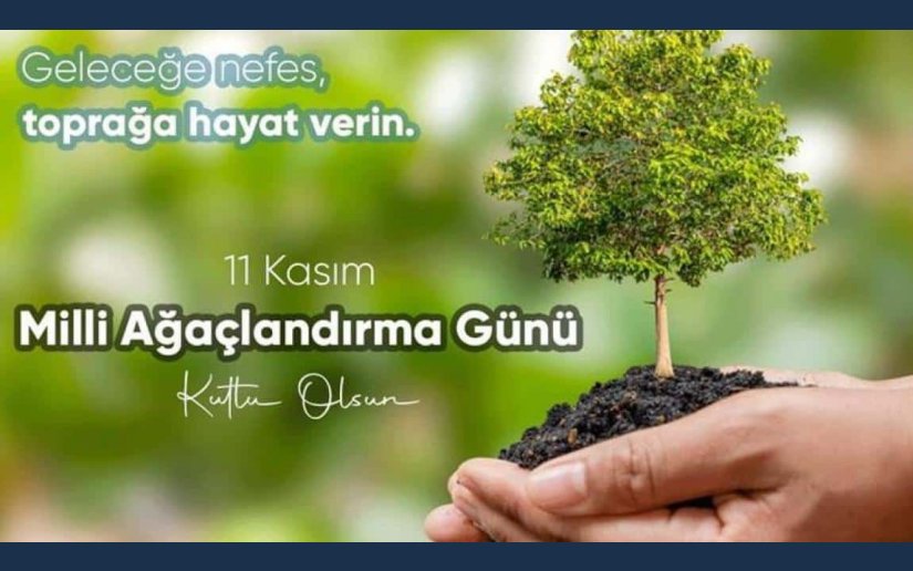 11 KASIM MİLLİ AĞAÇLANDIRMA GÜNÜ